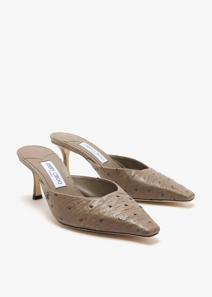 j000175279_5.jpg?ts=20250305030515