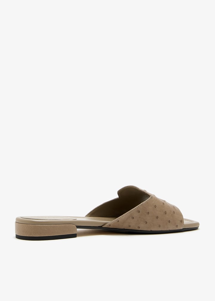 j000175287-taupe_4.jpg?ts=20260627041341