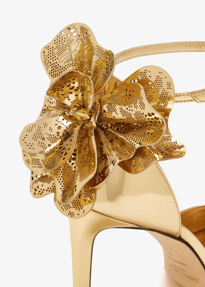 j000180458_5.jpg?ts=20251207025624