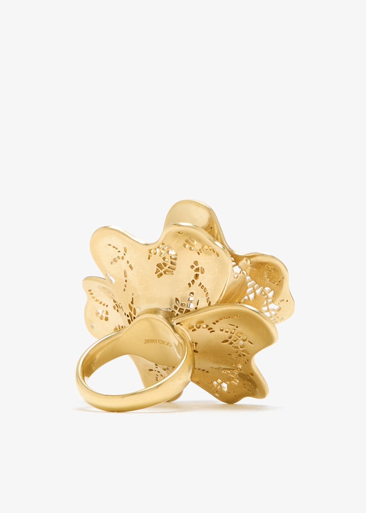 j000181899-gold_6.jpg?ts=20260623063442