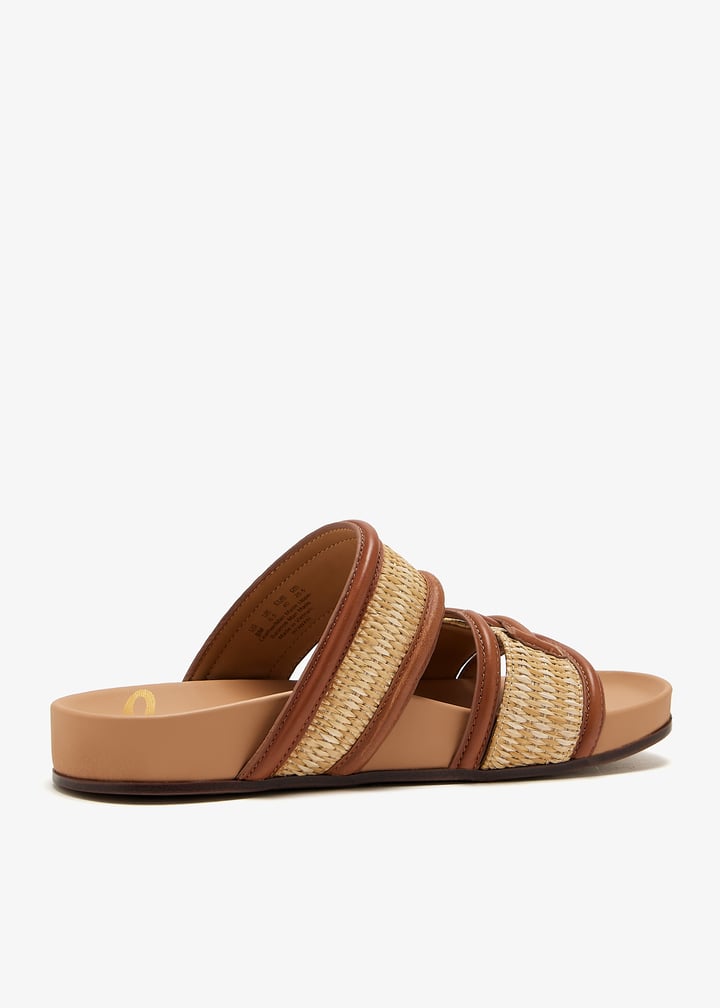 j0243m2-900_6.jpg?ts=20250315035517