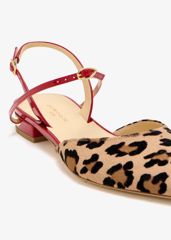 jc1308renalpows-redleo_5.jpg?ts=20251128123731