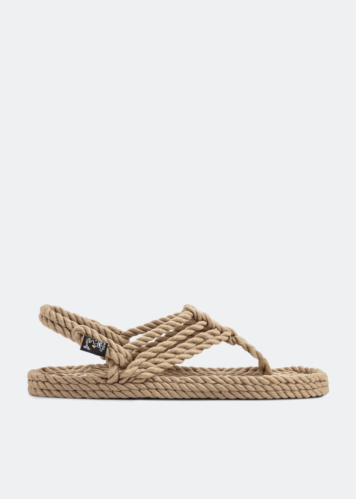 jester-w-camel_1.jpg?ts=20221006083510