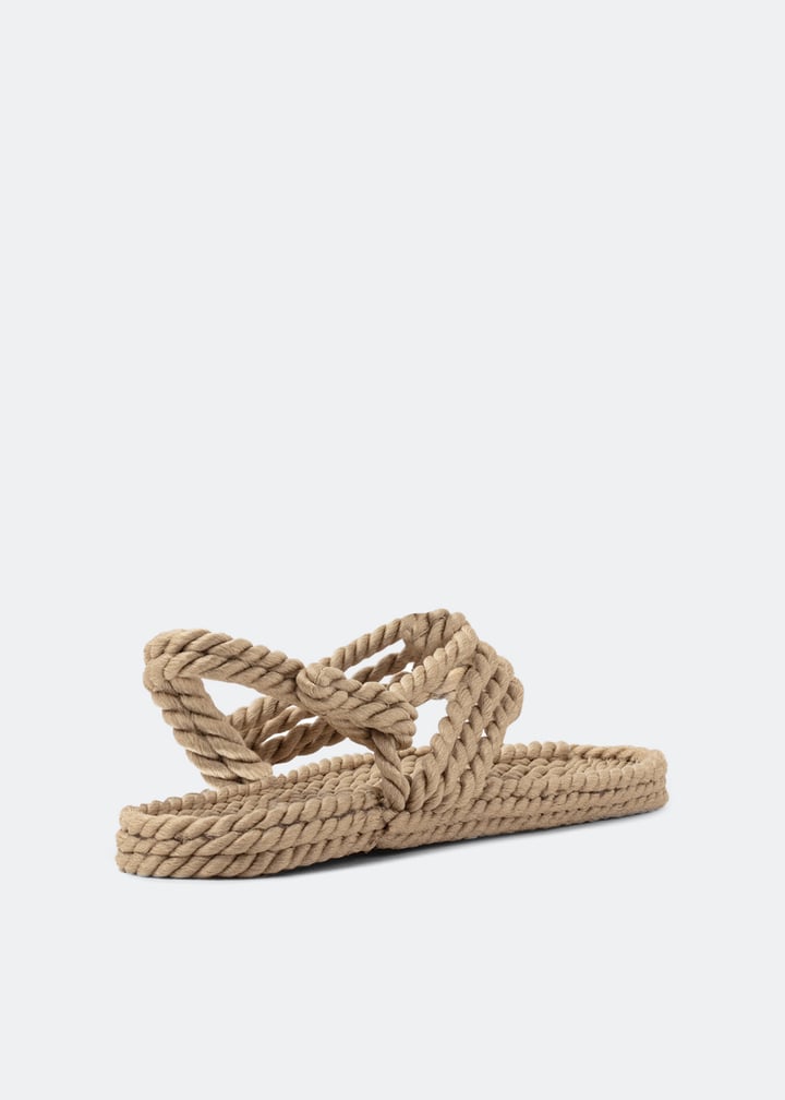 jester-w-camel_2.jpg?ts=20221006083510