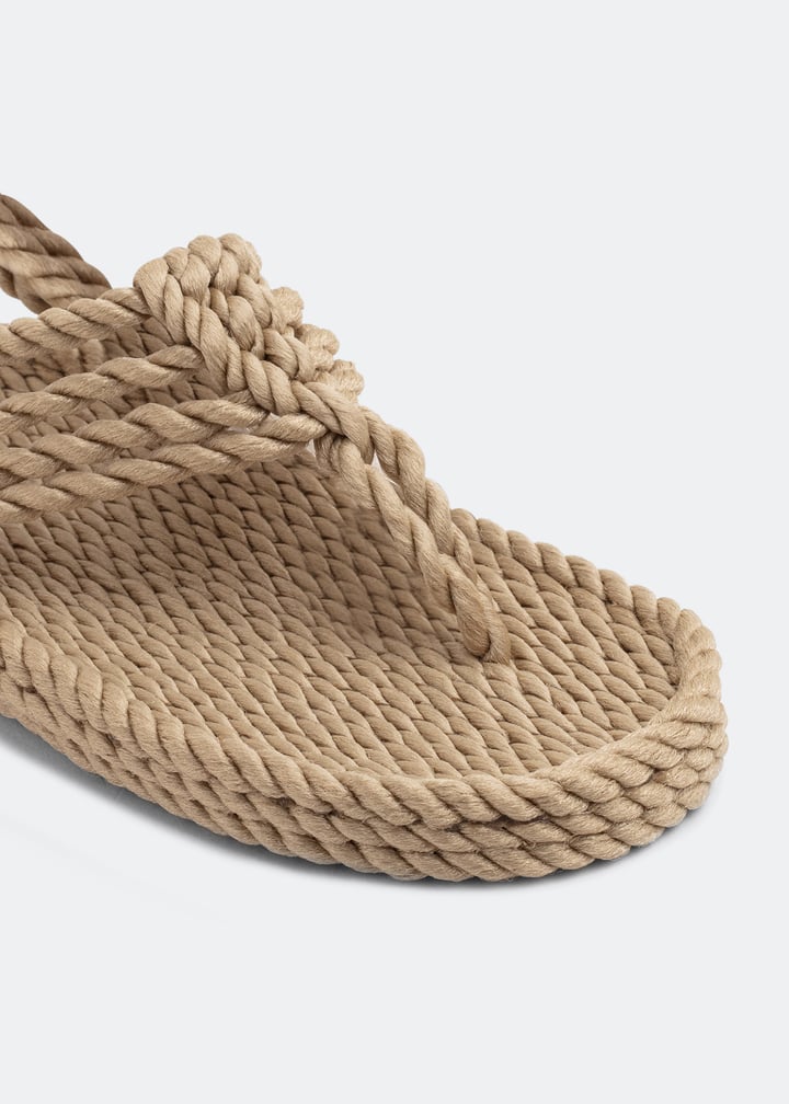 jester-w-camel_3.jpg?ts=20221006083510