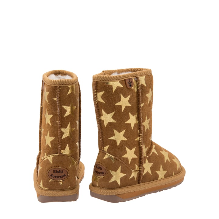 k11119-chsnut_3.jpg?ts=20220524041452