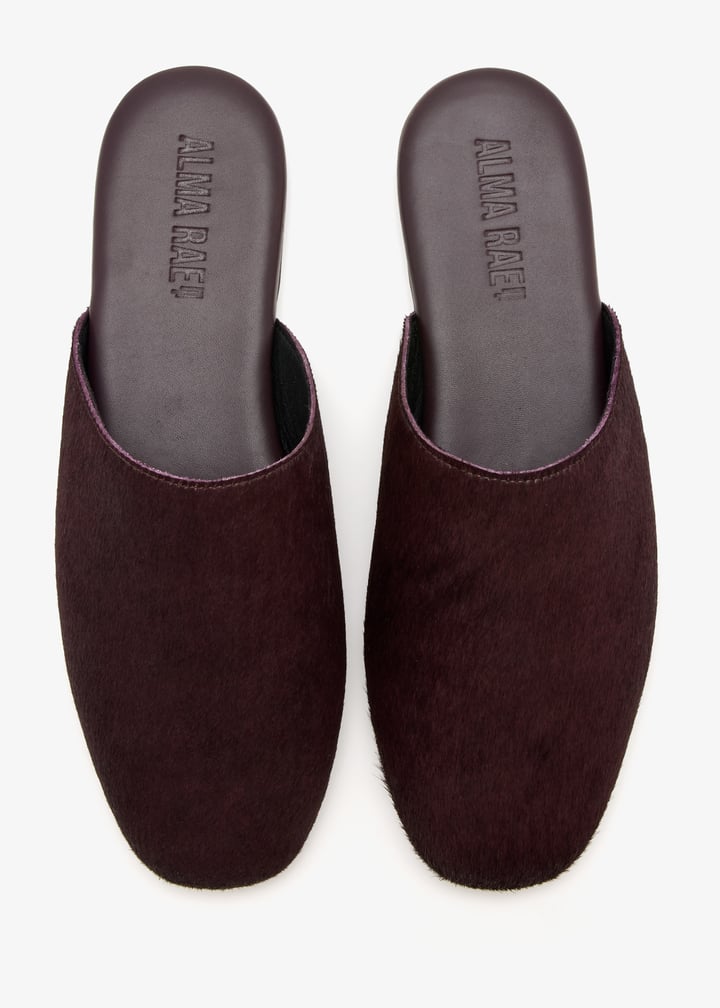 kali-bordhc_7.jpg?ts=20260304041306