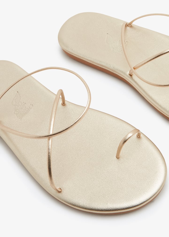 kansiz-alptnm_3.jpg?ts=20231223030527