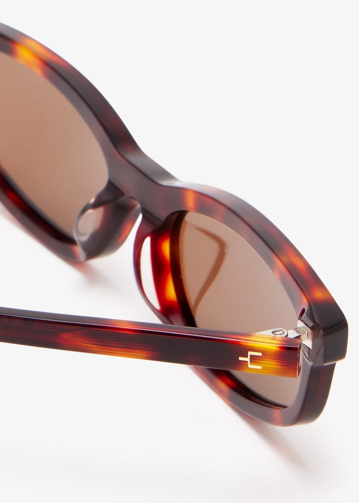 kate-tortie_5.jpg?ts=20251024030614