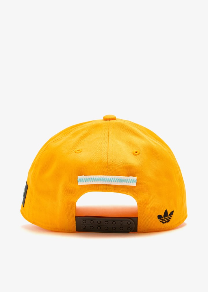 kd7596-cogold_6.jpg?ts=20260115144159