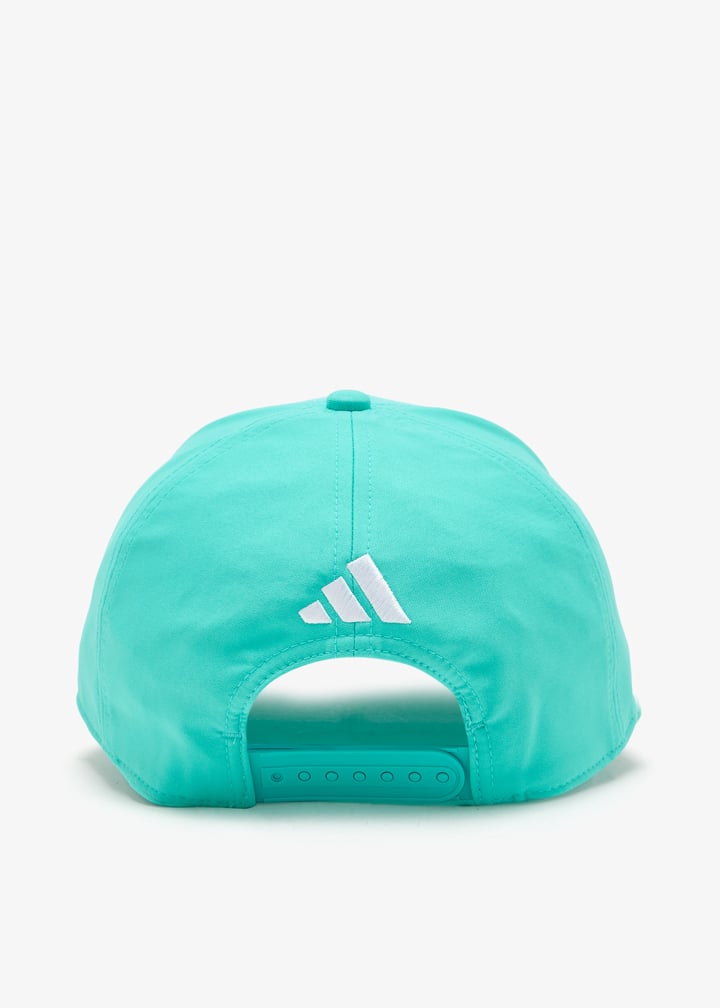 ke8301-semiru_6.jpg?ts=20260210020642