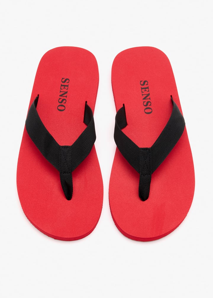 kenny-tomato_7.jpg?ts=20260218020623