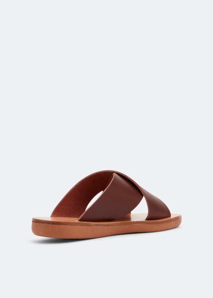 littlethaissoft-chstnt_3.jpg?ts=20220505184243