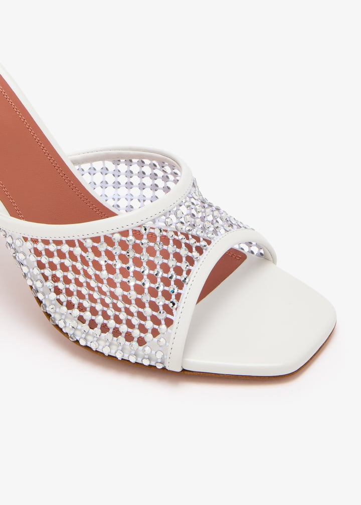 lupitacrystalnet95-nawwcr_5.jpg?ts=20251219154548