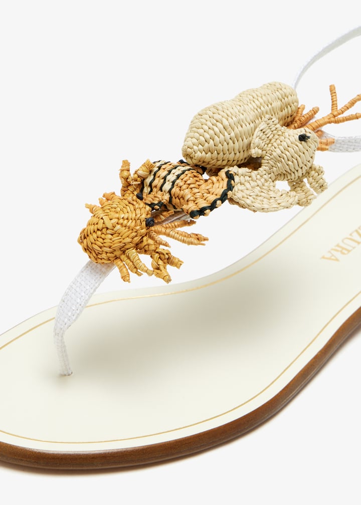 meaflas0-wvr-fff_5.jpg?ts=20250411030520