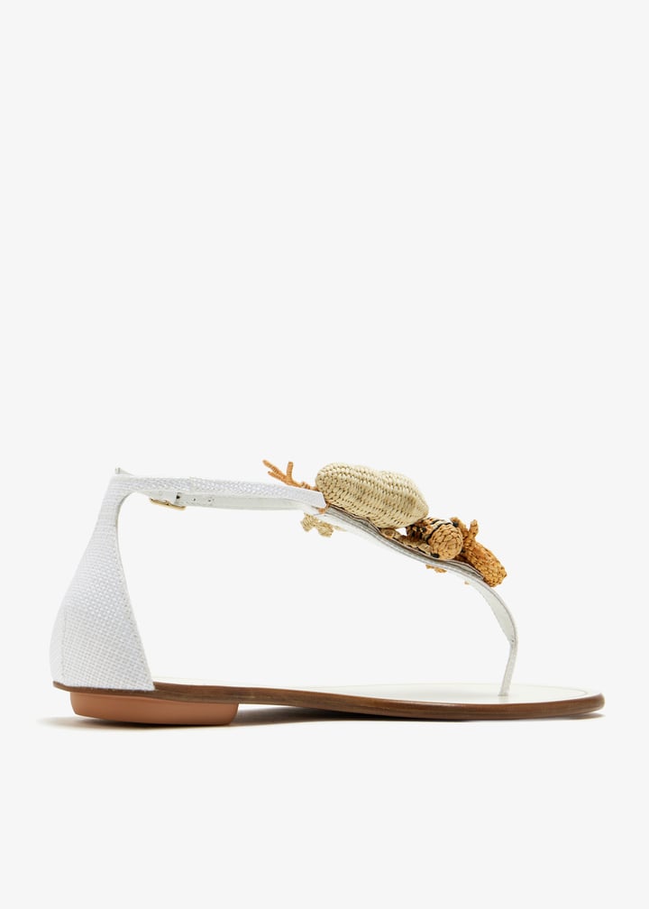 meaflas0-wvr-fff_6.jpg?ts=20250411030520