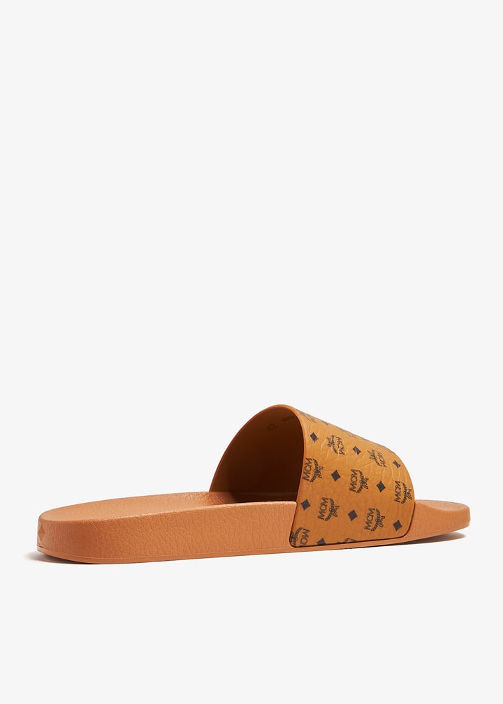 mexcamm17-co_6.jpg?ts=20240803035022