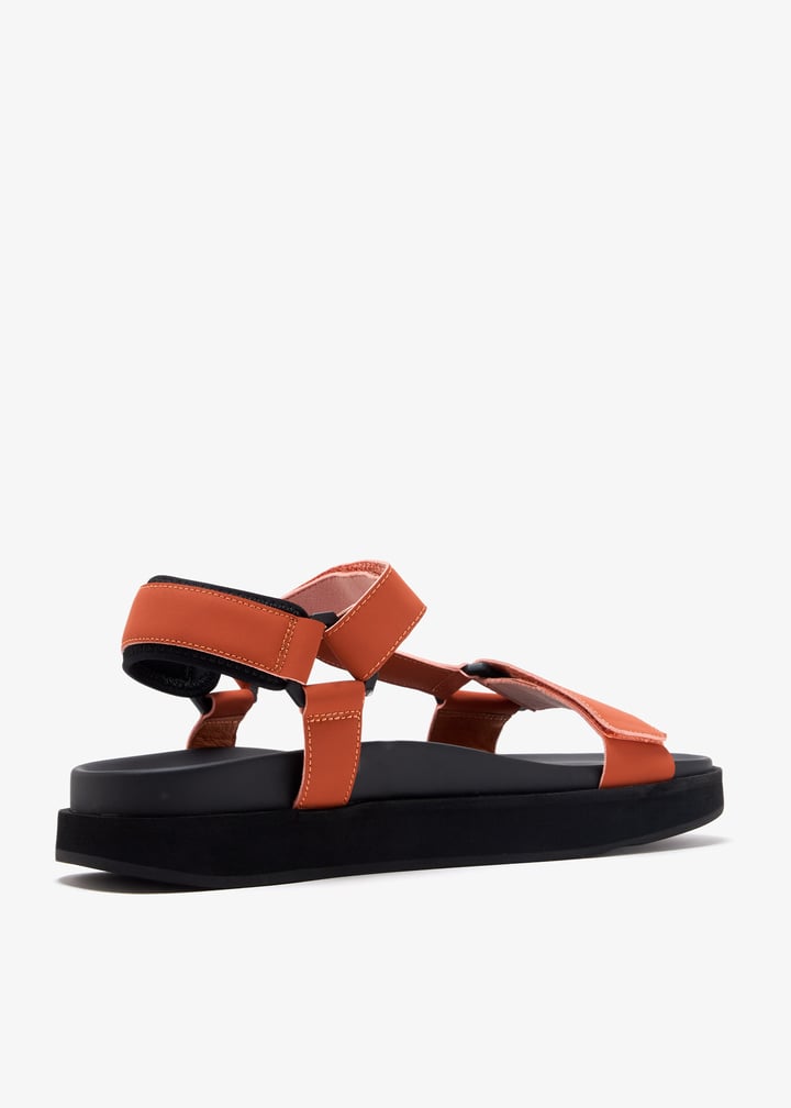 ms001e58-rust_6.jpg?ts=20250620030542
