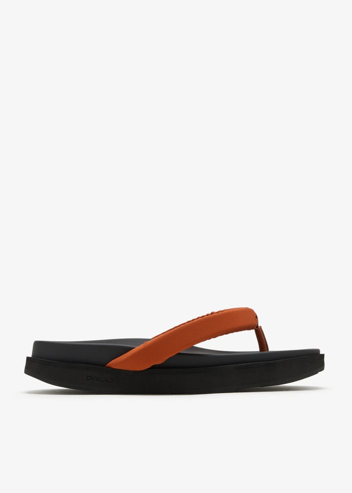mw001e55-anise_1.jpg?ts=20260509020727