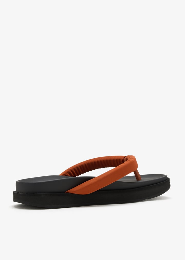 mw001e55-anise_6.jpg?ts=20260509020727