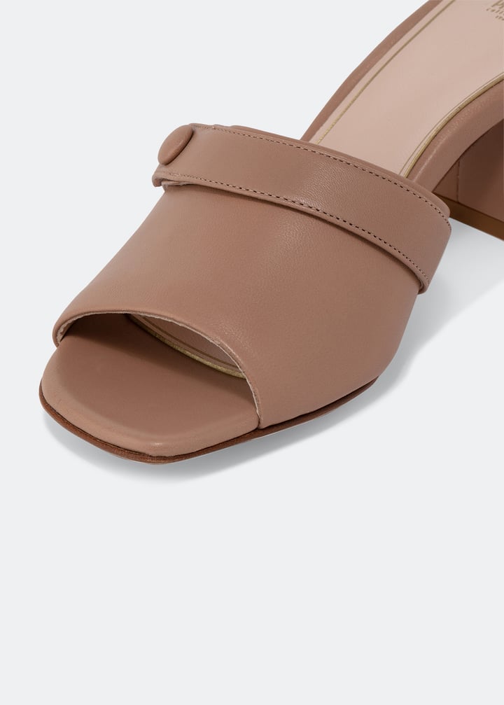 nap001crnv45-nde_3.jpg?ts=20220504184905