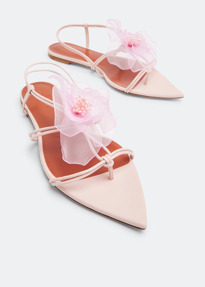 nd23sssc40032a-17032-pink_5.jpg?ts=20230419031510