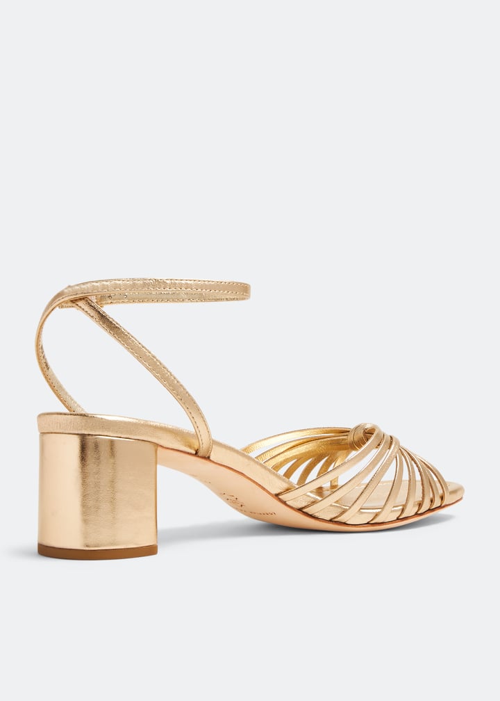 olivia-n-chmpn_6.jpg?ts=20260401020602