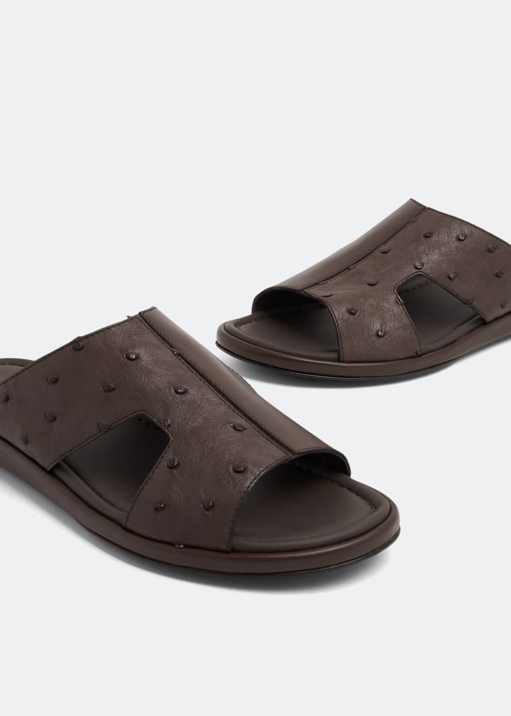 osf1367edrno-cigar_2.jpg?ts=20230321030518