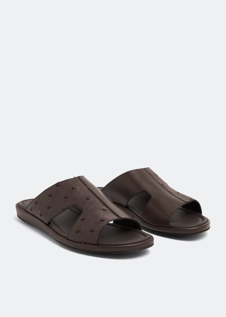 osf1367edrno-cigar_4.jpg?ts=20230321030518