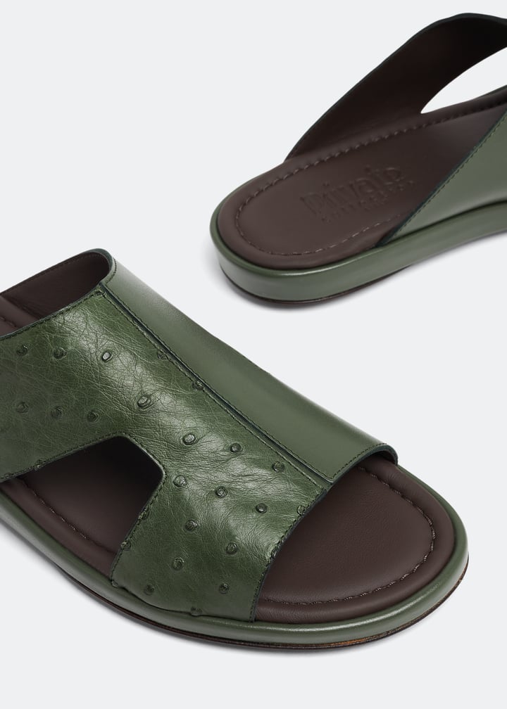 osf1367edrno-forestgreen_2.jpg?ts=20230322031619