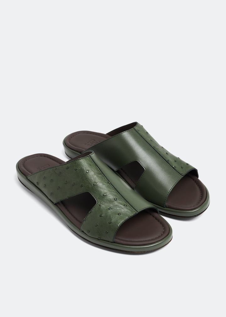 osf1367edrno-forestgreen_4.jpg?ts=20230322031619