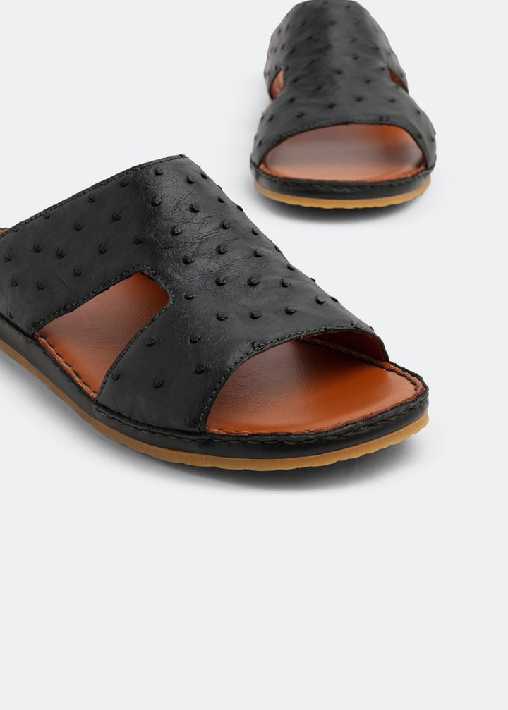 ost0598wes-btg_3.jpg?ts=20220504185020