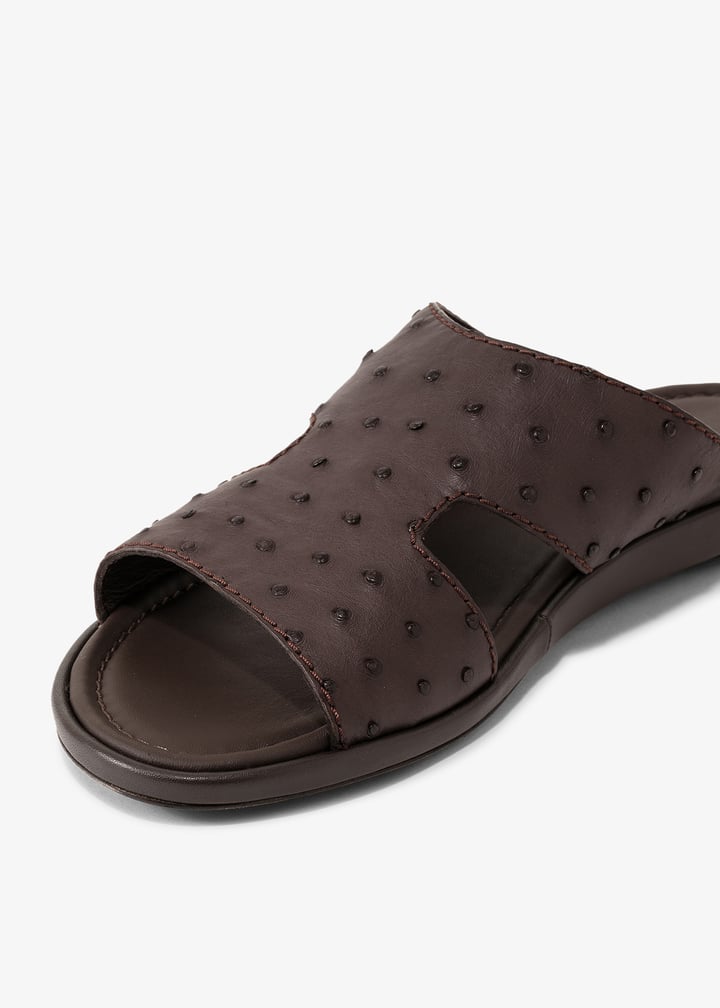 ost0903mpres-nic_3.jpg?ts=20231215030514