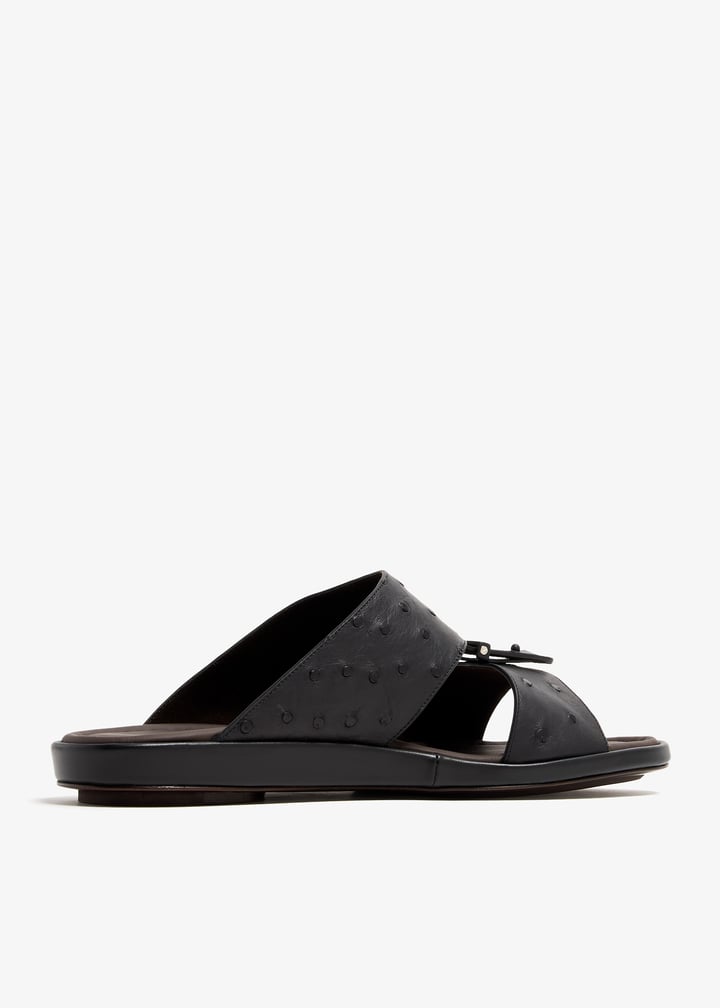 ost1228spre-black_4.jpg?ts=20240405034529