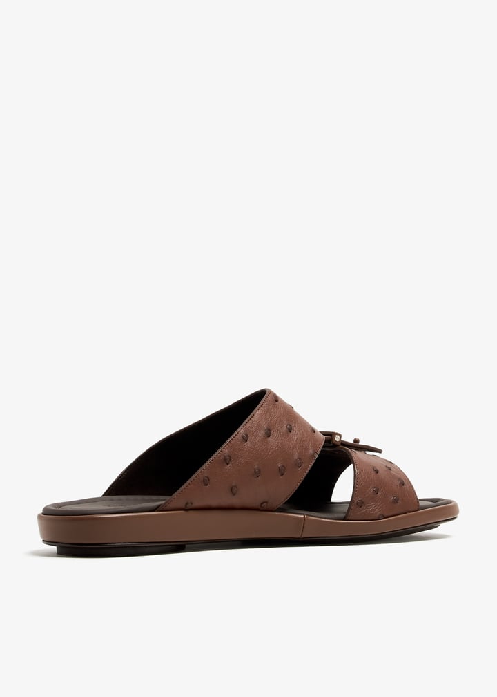 ost1228spre-copper_4.jpg?ts=20240405034530