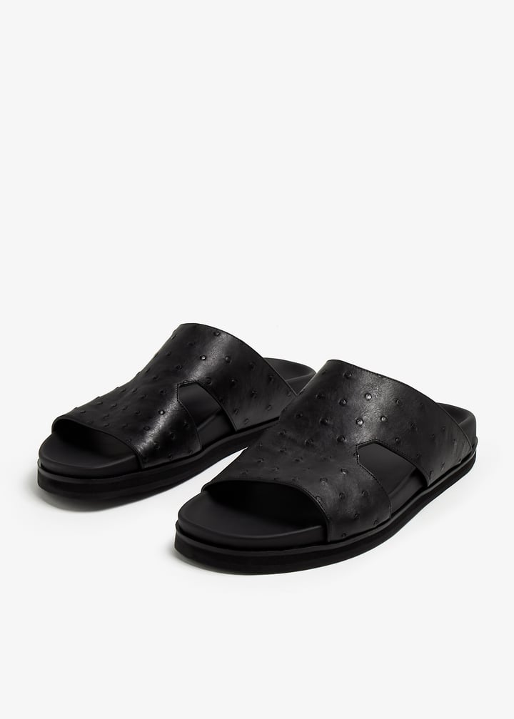 ost1600amano-black_5.jpg?ts=20240319030523