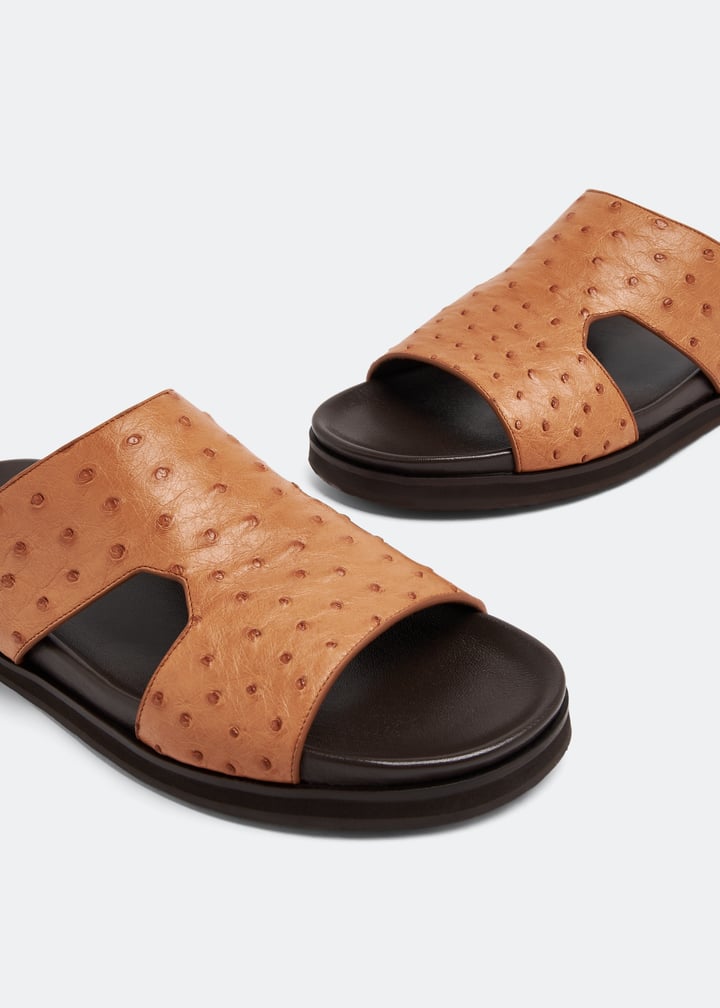 ost1600amano-cognac_2.jpg?ts=20230321030518