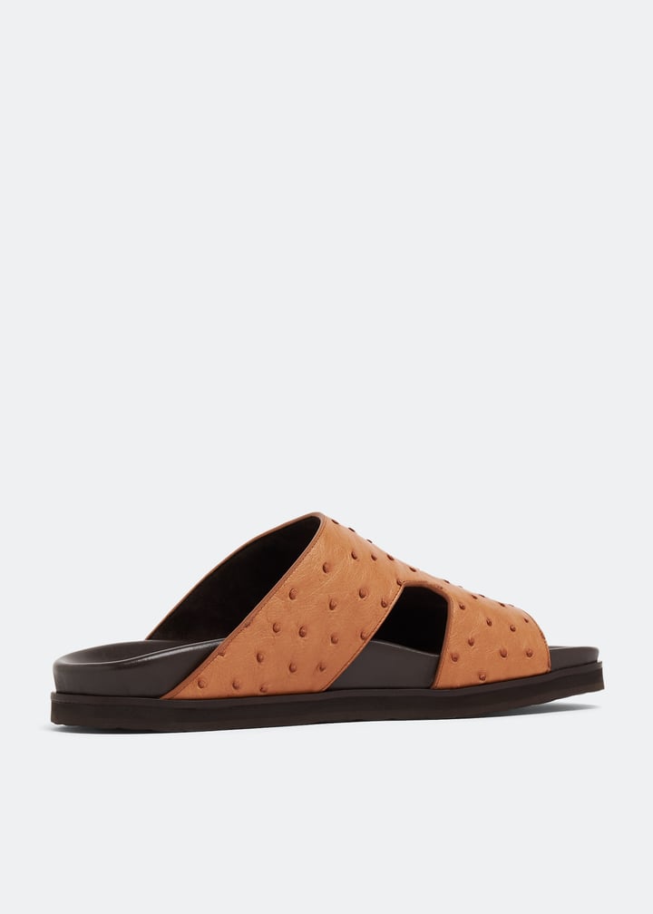 ost1600amano-cognac_3.jpg?ts=20230321030518