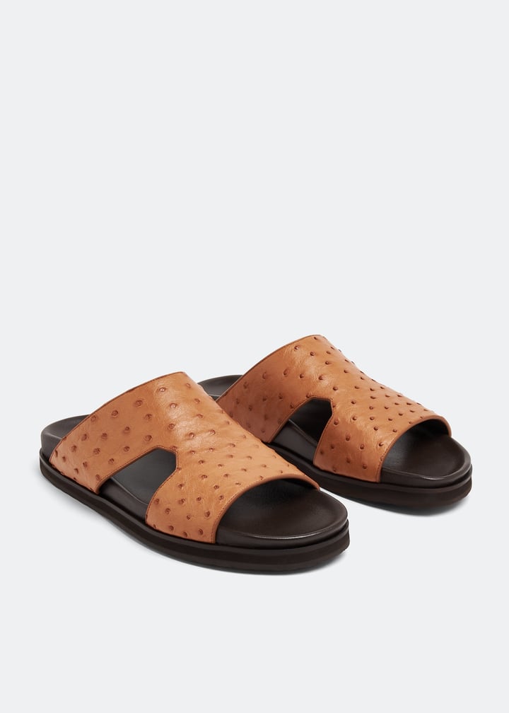 ost1600amano-cognac_4.jpg?ts=20230321030519