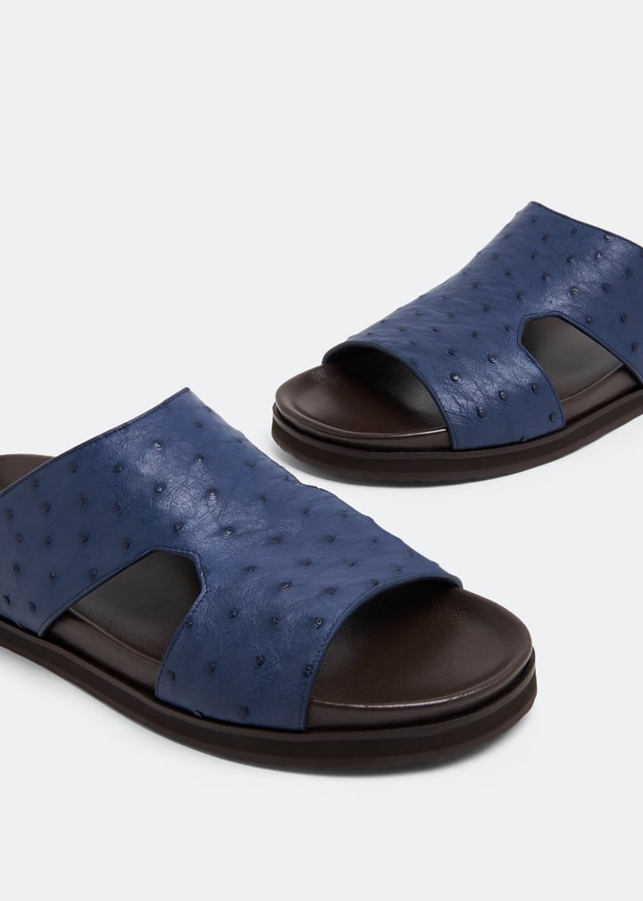 ost1600amano-irisblue_2.jpg?ts=20230321030519