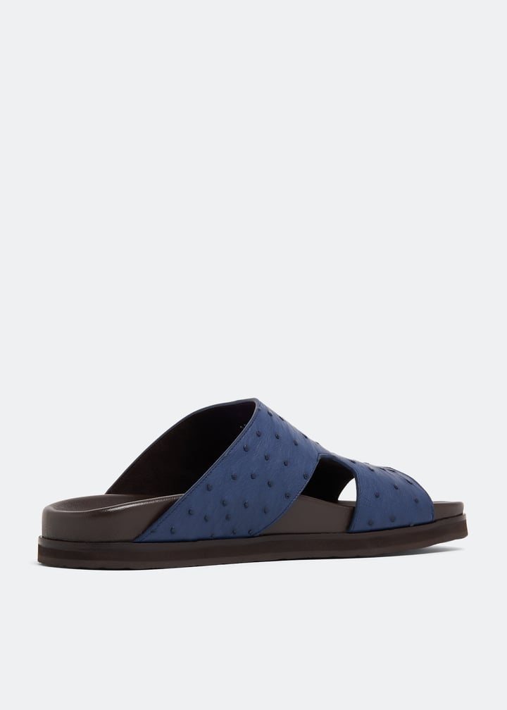 ost1600amano-irisblue_3.jpg?ts=20230321030519