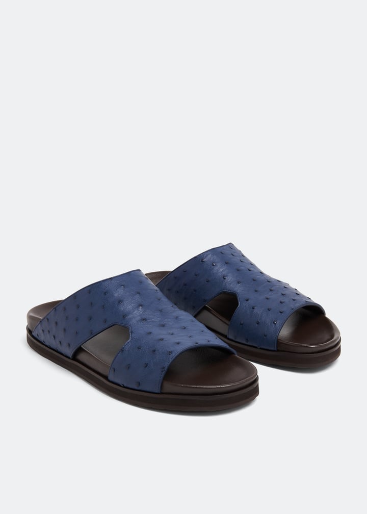 ost1600amano-irisblue_4.jpg?ts=20230321030519