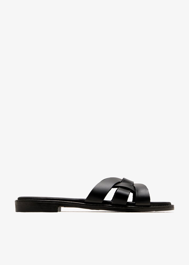 paloma-black_1.jpg?ts=20250815035107