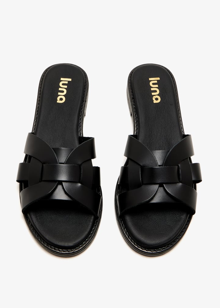 paloma-black_7.jpg?ts=20250815035107