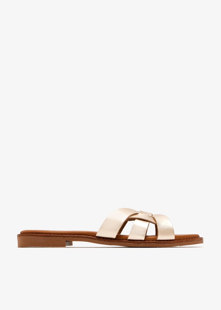 paloma-gold_1.jpg?ts=20250816030749