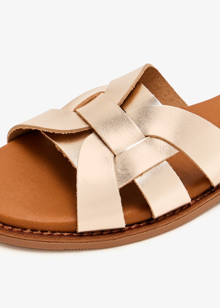 paloma-gold_5.jpg?ts=20250816030749