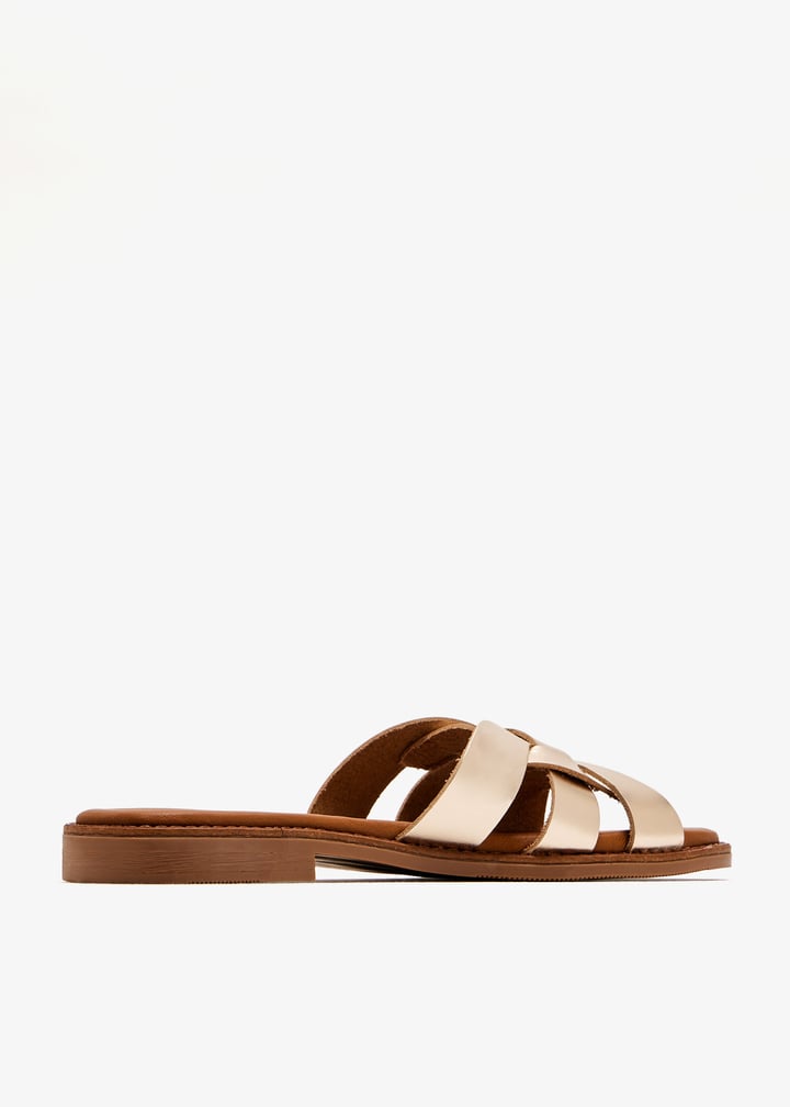 paloma-gold_6.jpg?ts=20250816030749