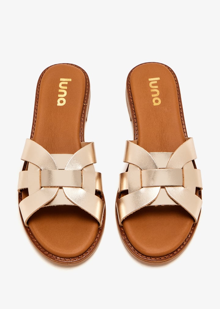 paloma-gold_7.jpg?ts=20250816030749