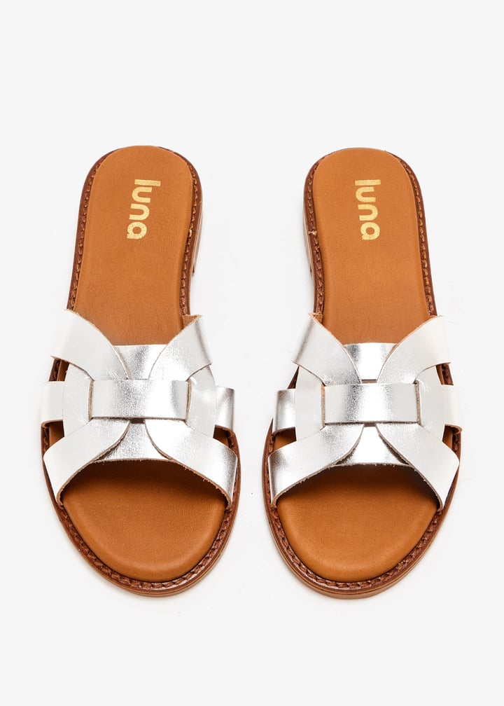 paloma-silver_7.jpg?ts=20250815035110