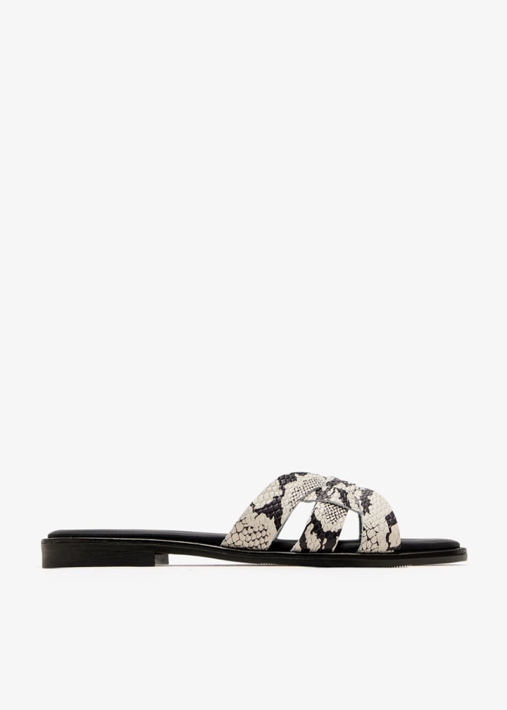 paloma-snake_1.jpg?ts=20250816030752